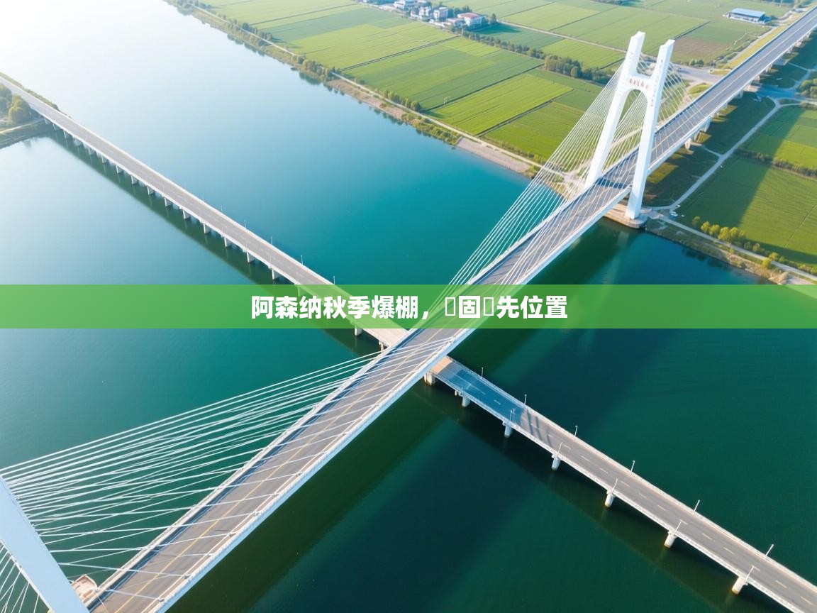 阿森纳秋季爆棚，穩固領先位置  第2张