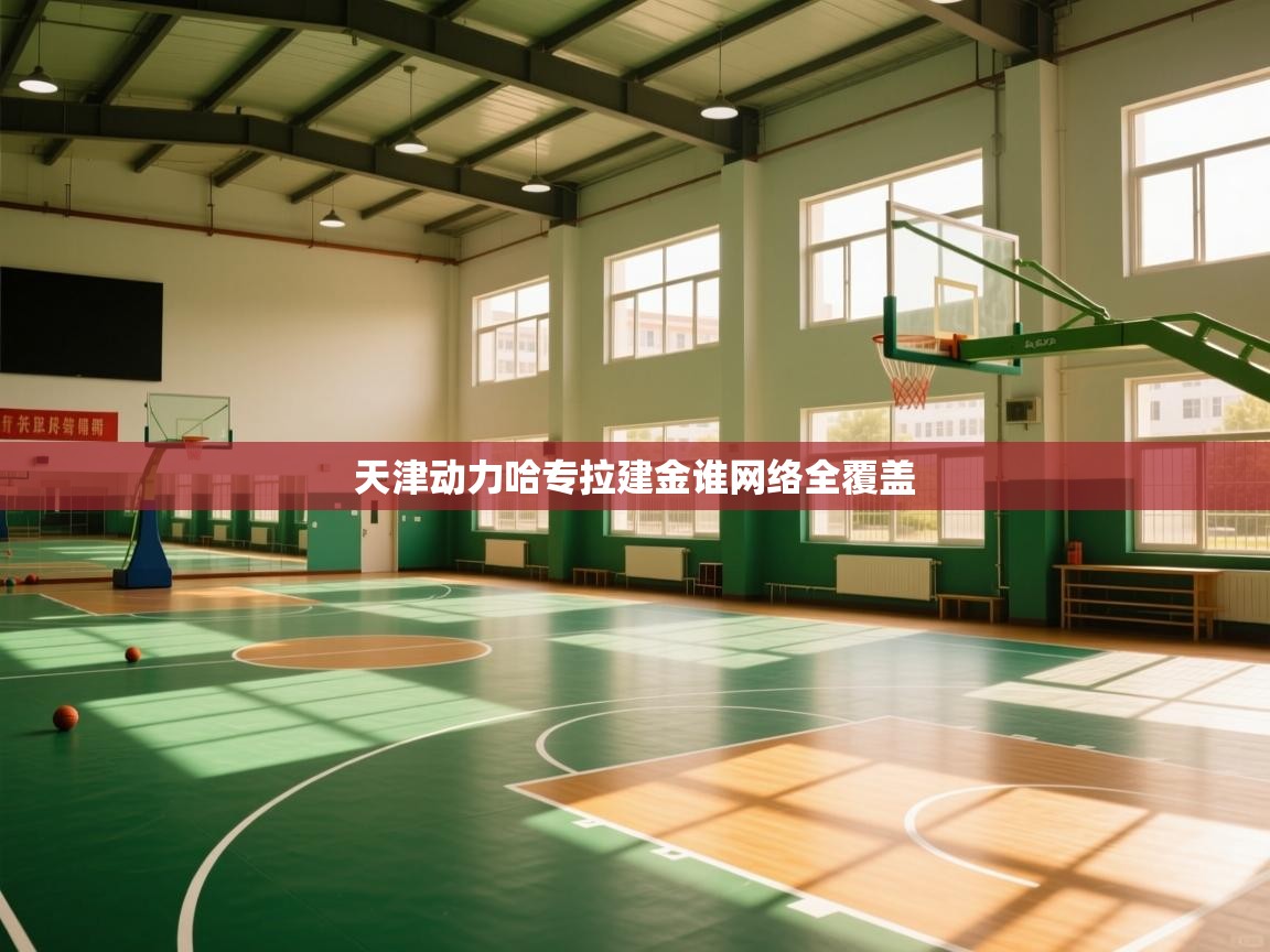 天津动力哈专拉建金谁网络全覆盖  第2张