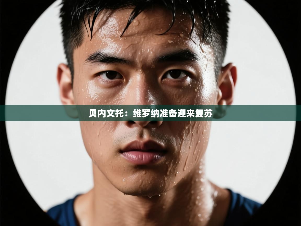 贝内文托：维罗纳准备迎来复苏  第1张