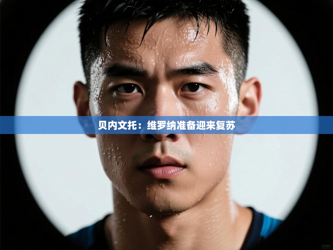 贝内文托：维罗纳准备迎来复苏  第2张